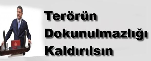 Terörün dokunulmazlığı kaldırılsın