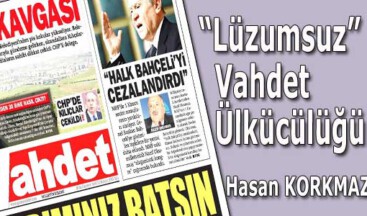 “Lüzumsuz” Vahdet Ülkücülüğü