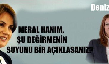 MERAL HANIM, ŞU DEĞİRMENİN SUYUNU BİR AÇIKLASANIZ?