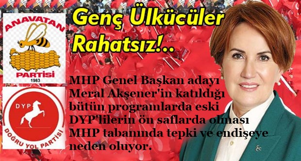 Genç Ülkücüler Rahatsız