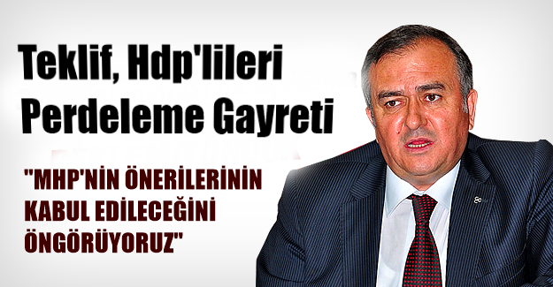 Teklif, Hdp’lileri Perdeleme Gayreti