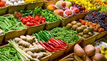 Rusya’ya Tarım İhracatı Çöktü!