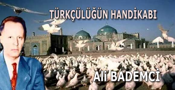 TÜRKÇÜLÜĞÜN HANDİKABI