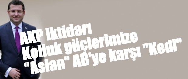 AKP iktidarı Kolluk güçlerimize “Aslan” AB’ye karşı “Kedi”