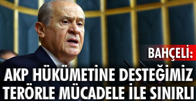 Başkanlık sistemi ve partili cumhurbaşkanına vereceğimiz bir destek ve katkı yoktur