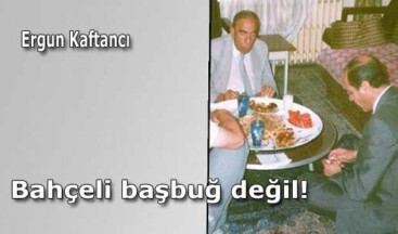 Bahçeli başbuğ değil!