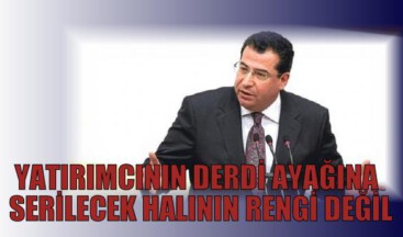 YATIRIMCININ DERDİ AYAĞINA SERİLECEK HALININ RENGİ DEĞİL