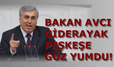 BAKAN AVCI GİDERAYAK PEŞKEŞE GÖZ YUMDU!