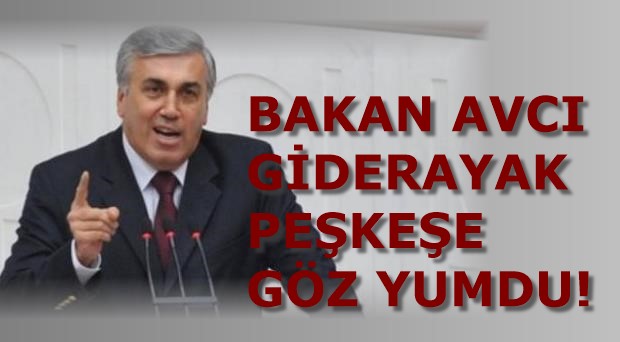 BAKAN AVCI GİDERAYAK PEŞKEŞE GÖZ YUMDU!