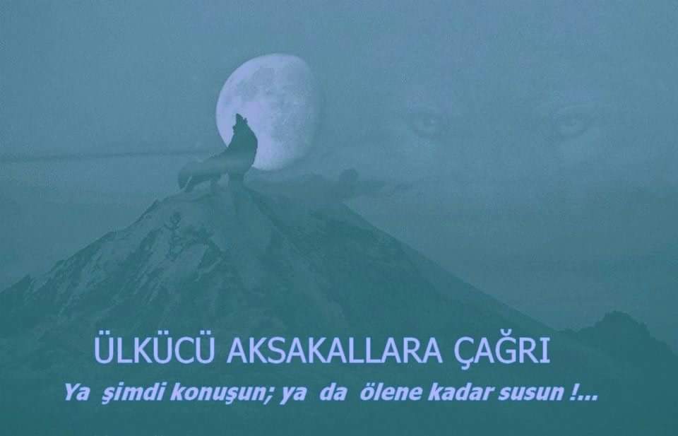 ÜLKÜCÜ AKSAKALLAR MANİFESTOSU