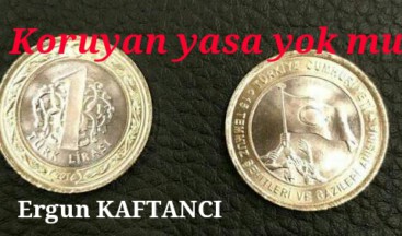 Koruyan yasa yok mu