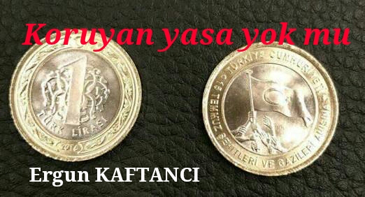 Koruyan yasa yok mu