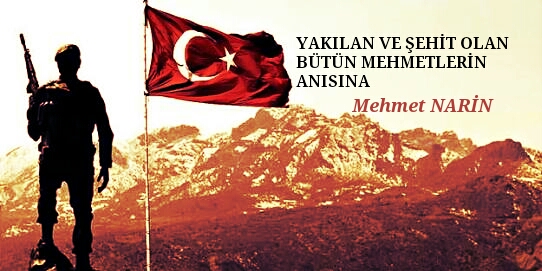 YAKILAN VE ŞEHİT OLAN BÜTÜN MEHMETLERİN ANISINA