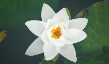 Health Tips And Benefits Of Healthy Lifestyle You Should Consider