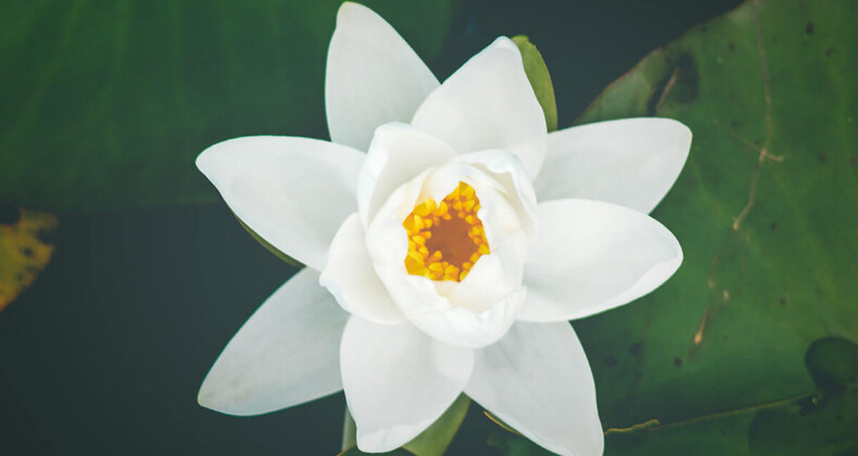 Health Tips And Benefits Of Healthy Lifestyle You Should Consider