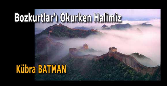 Bozkurtlar’ı Okurken Halimiz