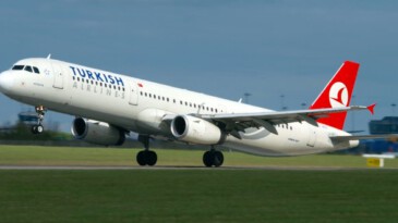 THY Yönetim Kurulu Başkanı İlker Aycı istifa etti