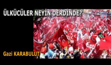 ÜLKÜCÜLER NEYİN DERDİNDE?
