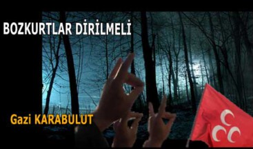 BOZKURTLAR DİRİLMELİ