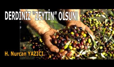 DERDİNİZ “ZEYTİN” OLSUN!