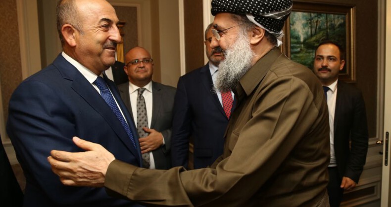 Dışişleri Bakanı Çavuşoğlu bölücüleri sevindirdi