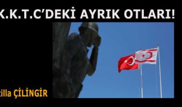 K.K.T.C’DEKİ AYRIK OTLARI!
