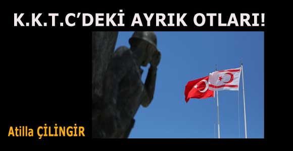 K.K.T.C’DEKİ AYRIK OTLARI!