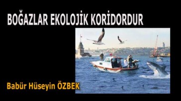 BOĞAZLAR EKOLOJİK KORİDORDUR