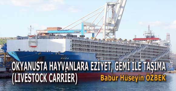 OKYANUSTA HAYVANLARA EZİYET, GEMİ İLE TAŞIMA (LIVESTOCK CARRİER)