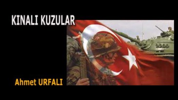 KINALI KUZULAR