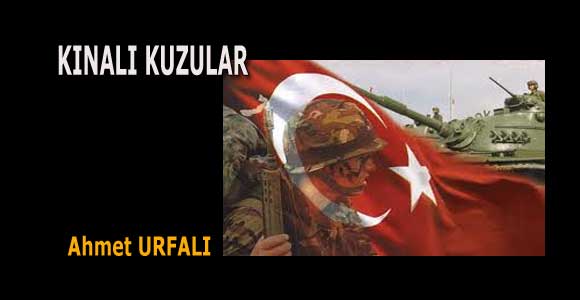 KINALI KUZULAR