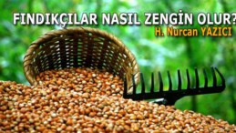 FINDIKÇILAR NASIL ZENGİN OLUR?
