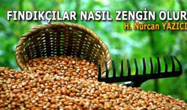 FINDIKÇILAR NASIL ZENGİN OLUR?