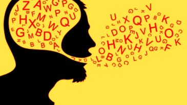 Yüksekten uç Kartal sansınlar