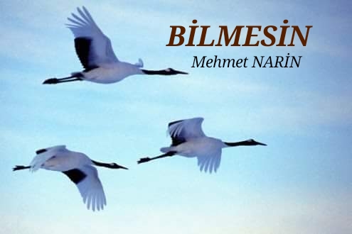 BİLMESİN