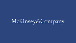 Albayrak’tan McKinsey açıklaması: Hiçbir icra fonksiyonu olmayacak