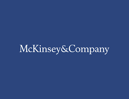 Albayrak’tan McKinsey açıklaması: Hiçbir icra fonksiyonu olmayacak