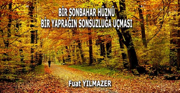 BİR SONBAHAR HÜZNÜ, BİR YAPRAĞIN SONSUZLUĞA UÇMASI