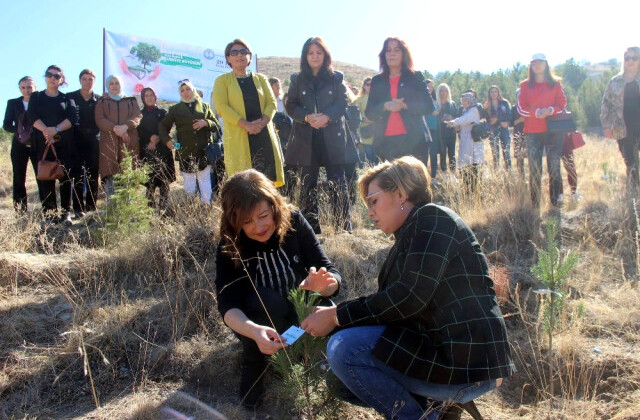 MHP Kadın Kolları Fidanları Toprakla Buluşturdu