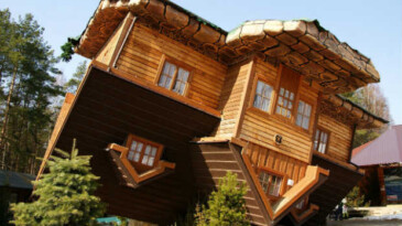 Hayat Mektebi Mezunuyuz, Biz Her Konudan Anlarız(!)