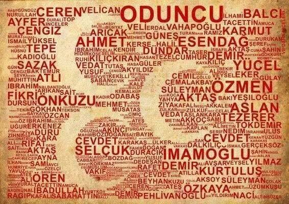 Ülkücü Şehitler
