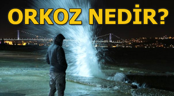 Orkoz nedir, neden olur? İstanbul Boğazın’da orkoz!