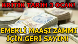 Emekli maaşı zam oranı en yüksek 542 lira! Emekli maaşı zam oranı ne kadar?