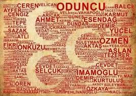 BİR SEVDANIN DESTANI