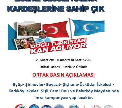 “Doğu Türkistan Kan Ağlıyor” ortak basın açıklaması