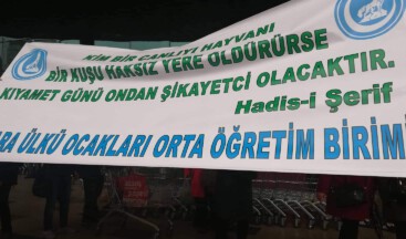 Sokak hayvanlarına yapılan vahşet kınandı!