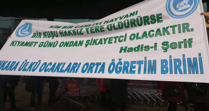 Sokak hayvanlarına yapılan vahşet kınandı!