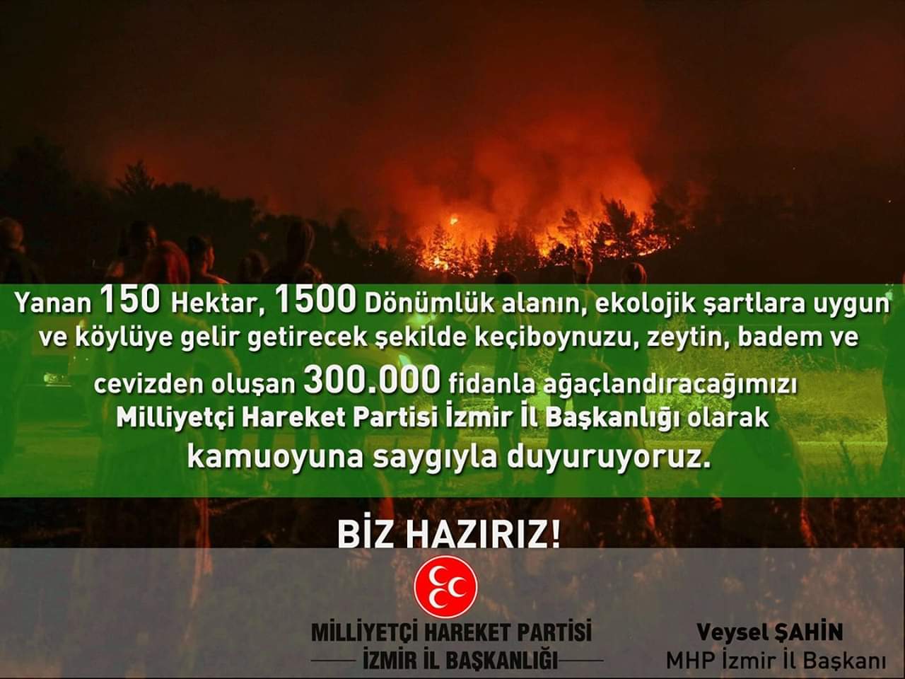 MHP HAZIR: Yanan Orman Alanlarını Ağaçlandırıyor