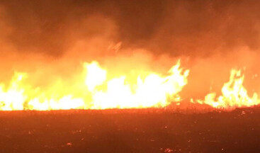 Avşa Adası’nda yangın!