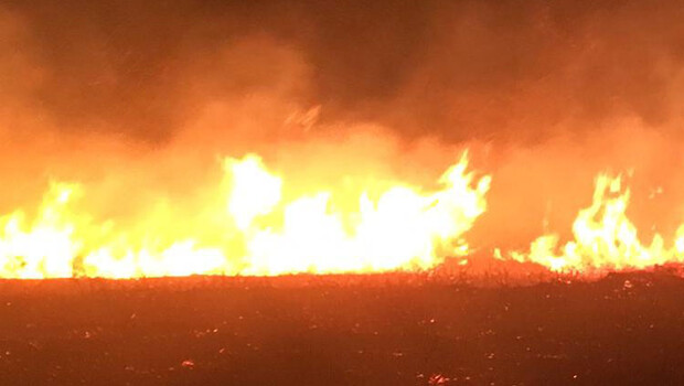 Avşa Adası’nda yangın!